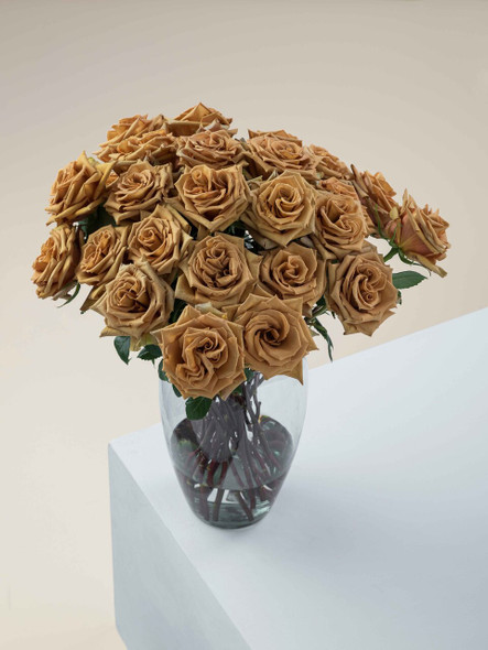Toffee, 50cm, 25 Stems, ROSAPRIMA CIA. LTDA.