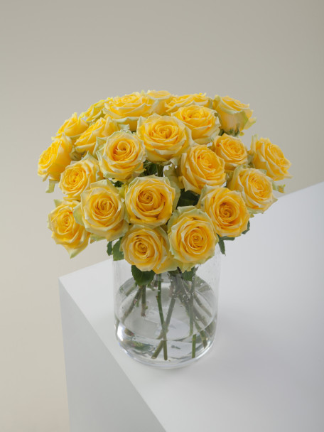 High and Exotic, 60cm, 25 Stems, ROSAPRIMA CIA. LTDA.