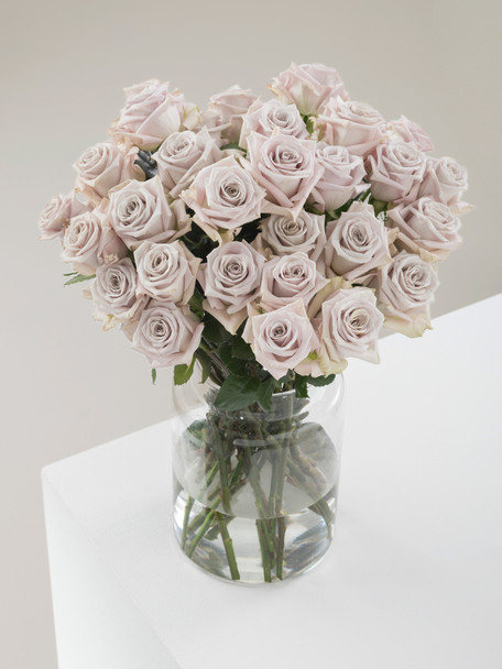 Menta, 50cm, 25 Stems, ROSAPRIMA CIA. LTDA.