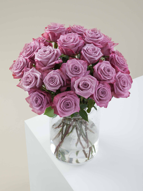 Moody Blues, 40cm, 25 Stems, ROSAPRIMA CIA. LTDA.