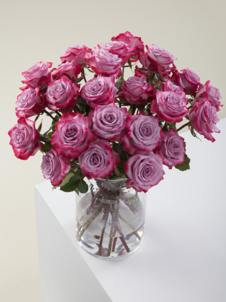 Deep Purple, 40cm, 25 Stems, ROSAPRIMA CIA. LTDA.