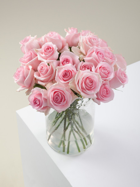 Luciano, 60cm, 25 Stems, ROSAPRIMA CIA. LTDA.