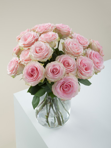 BIC Esperance, 50cm, 25 Stems, ROSAPRIMA CIA. LTDA.