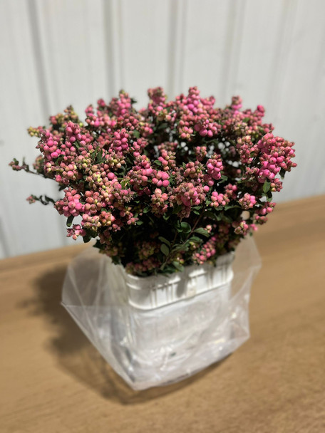 Snowberries Hot Pink, 70cm, 5 Stems, FAIRFIELD