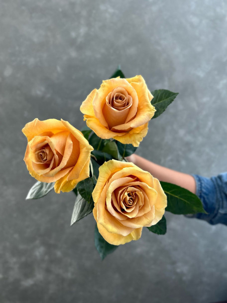 Combo, 40cm, 25 Stems, ROSAS DEL CORAZON