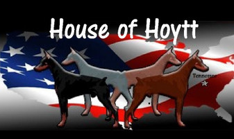 house of hoytt doberman prices