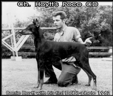 house of hoytt doberman