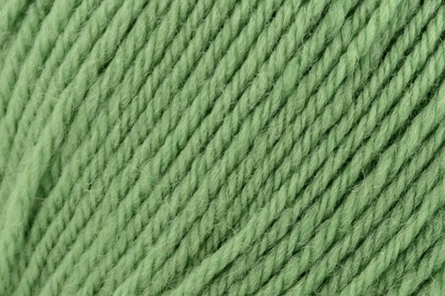 Universal Yarn Deluxe DK Superwash Wool - #810 Greenery