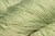 Cotton Supreme #623 Herb Green by Universal Yarn