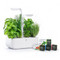 Veritable Classic Indoor Garden & 4x Lingots