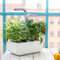 Veritable Smart Indoor Garden - In Use