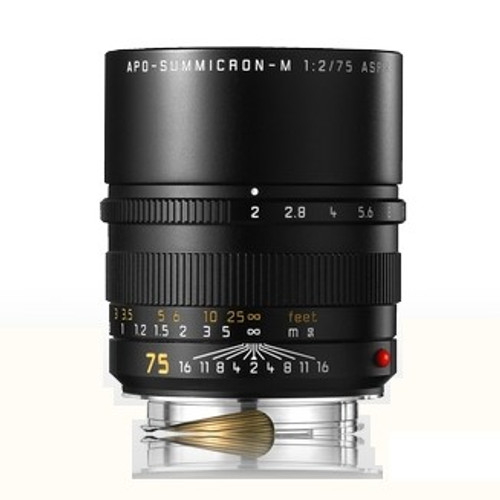 Leica APO-Summicron-M 75mm F/2 Asph. Lens (New)