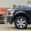 Steel Grille Guard, Polished Stainless, Steel | (15-20) F-150, Excluding Diesel | 3066-2
