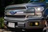 S8 Grille Mount LED Light Kit, 10" LED Light Bar, Driving/Cornering, Clear | (18-20) F-150  | 447660