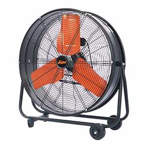 Fans