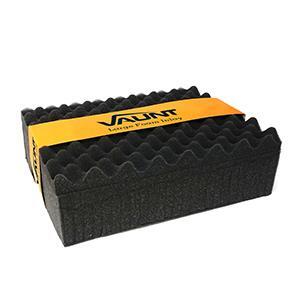 Vaunt Case Inlays and Foam