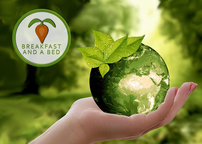 Bed and Breakfasts Unite: Here are fourteen ways to drive direct bookings to your Website!