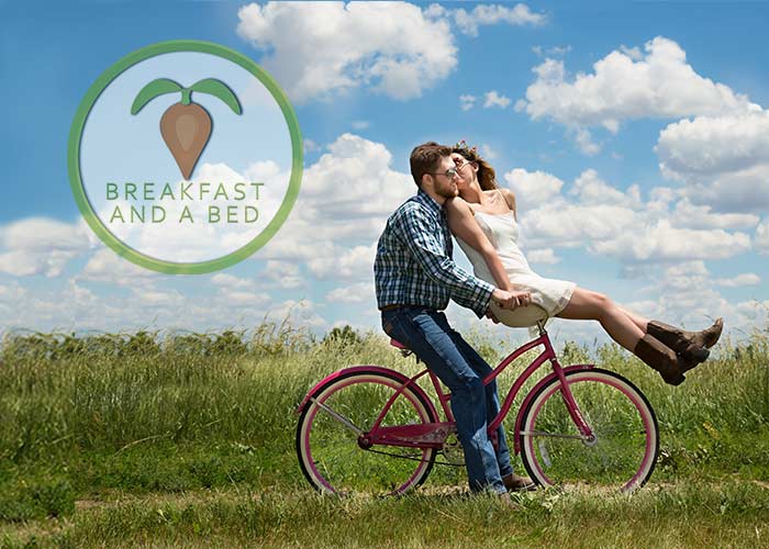 6 Social Media Tips for B&Bs to Compete with OTAs and Chain Hotels