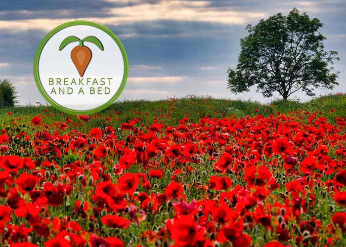 Five Secrets of North Yorkshire, England Five Secrets of North Yorkshire, England