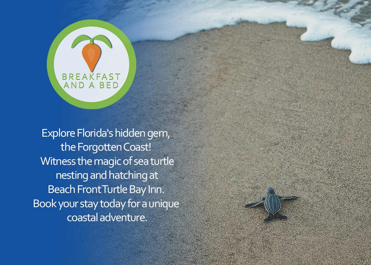 B&B Bliss: Turtle Beach Inn on the Forgotten Coast