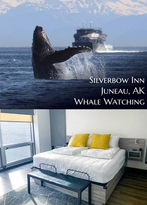 Silverbow Inn in Juneau Alaska with whale watching and guest room