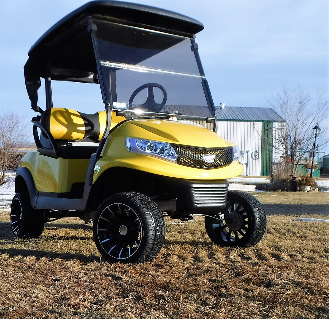 Custom Golf Carts Alberta Lakeview Small Power