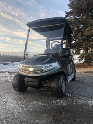 Stylish graphite metallic custom cart