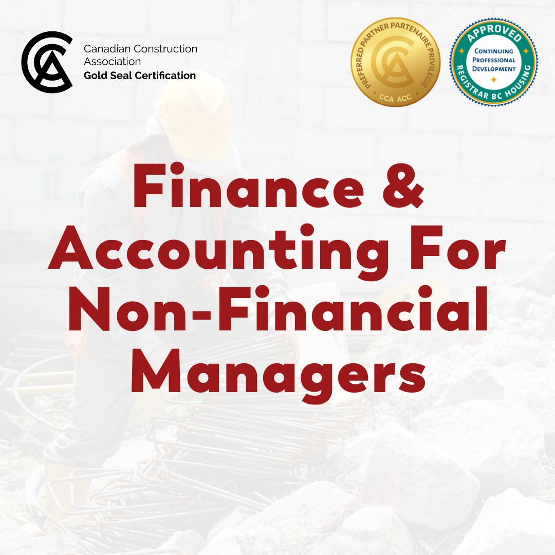 Accounting visual data 3