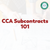 CCA Subcontracts 101