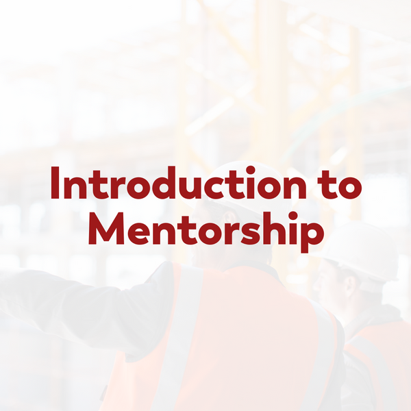 Introduction to Mentorship - Online Course