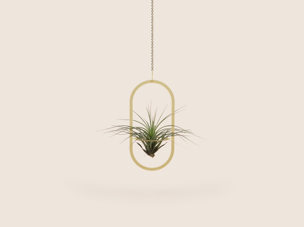 Oval Plant Mobile, Gold - Hanging Mobile Gallery