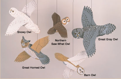 Monarch Mobiles Owls Mobile