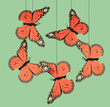 Monarch Butterfly Mobile. Monarch Butterfly Mobile.