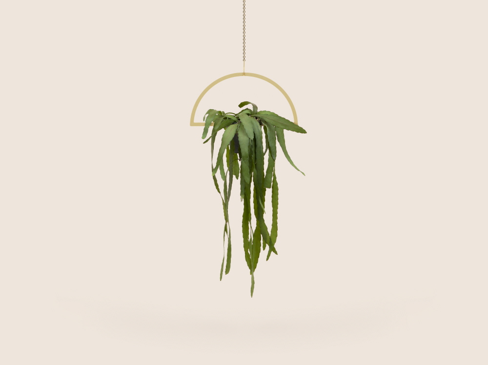 Small Good Things Semi-Circle Plant Mobile, Gold