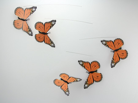 www.tcswoodentoys.com Moving Butterfly Lifelike Motion Animated Monarch  Home Decor 