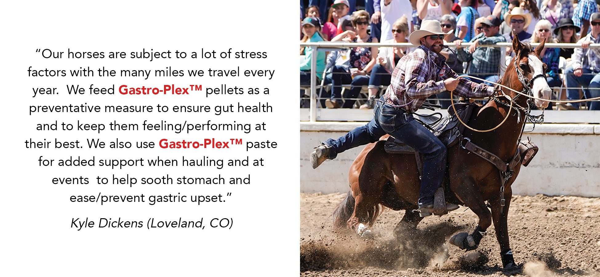 gastroplextestimony-kyledickens-2020.jpg gastroplextestimony-kyledickens-2020.jpg