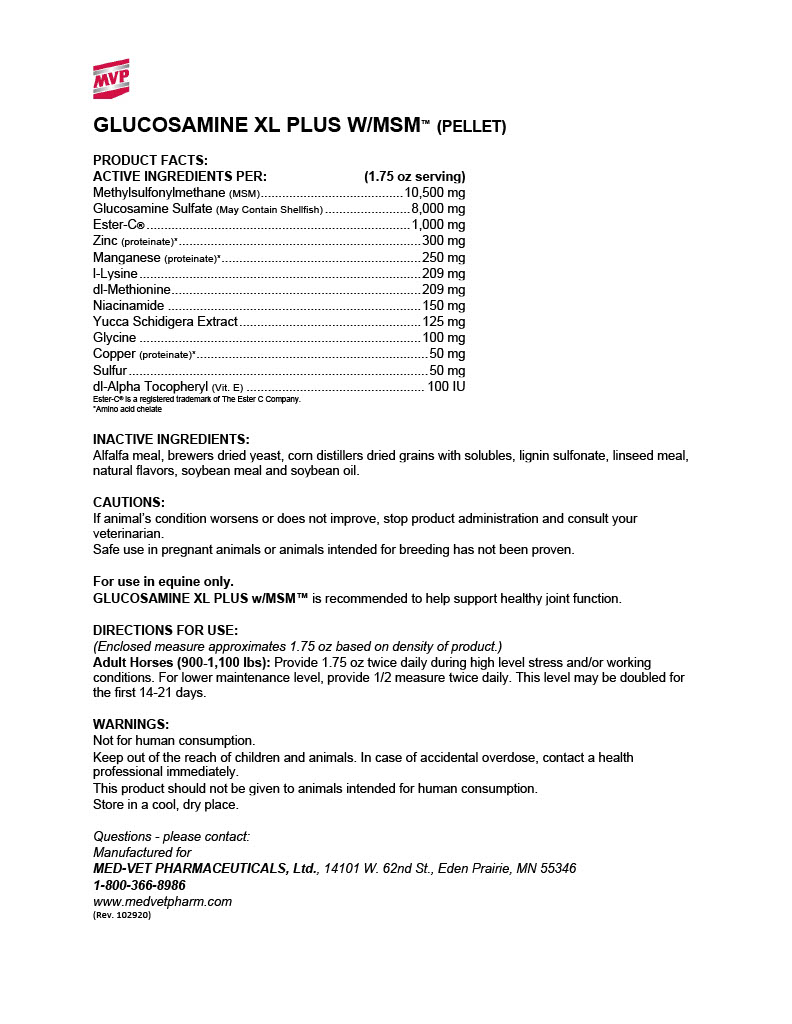 glucosamine-plus-msm-rev.-102920-word-format.jpg