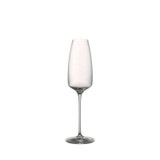 Rosenthal TAC 02 Stemware Champagne Flute 10 1/4 inch, 9 ounce
