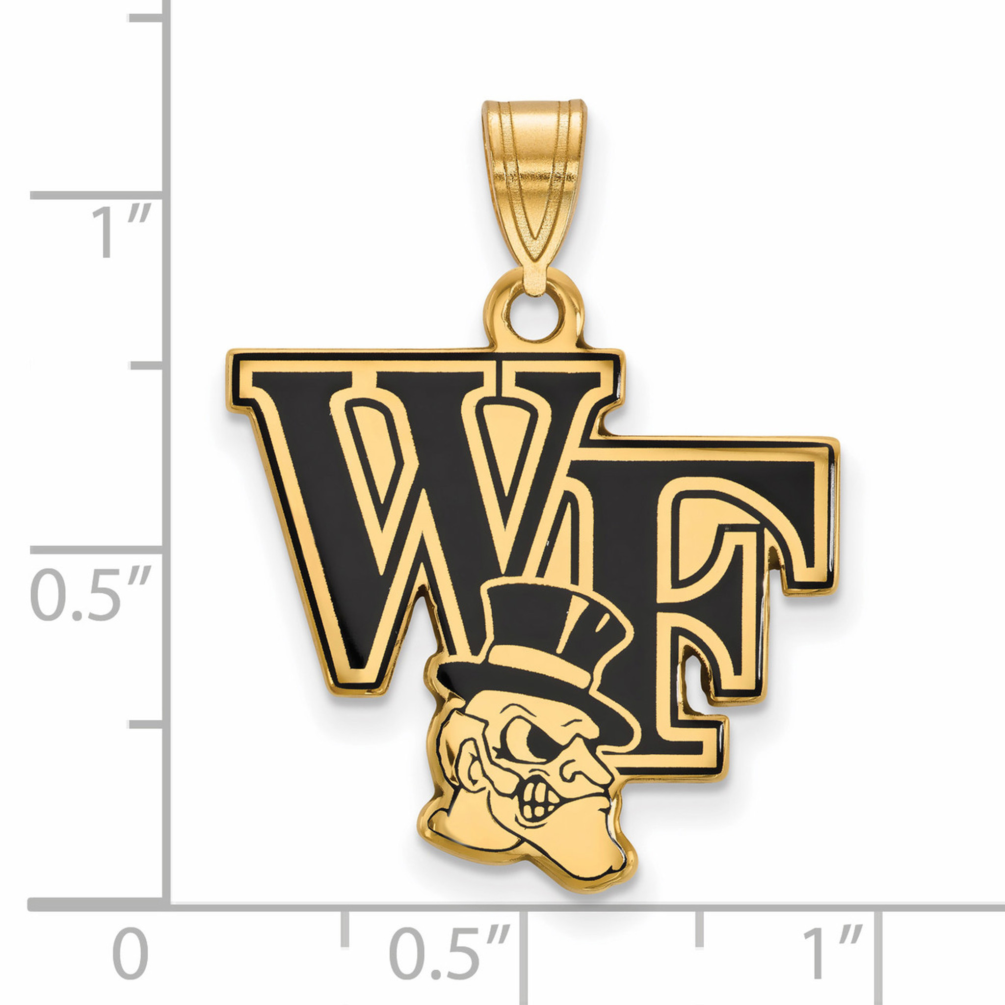 Gold-Plated Sterling Silver Wake Forest University Large Pendant LogoArt GP004WFU