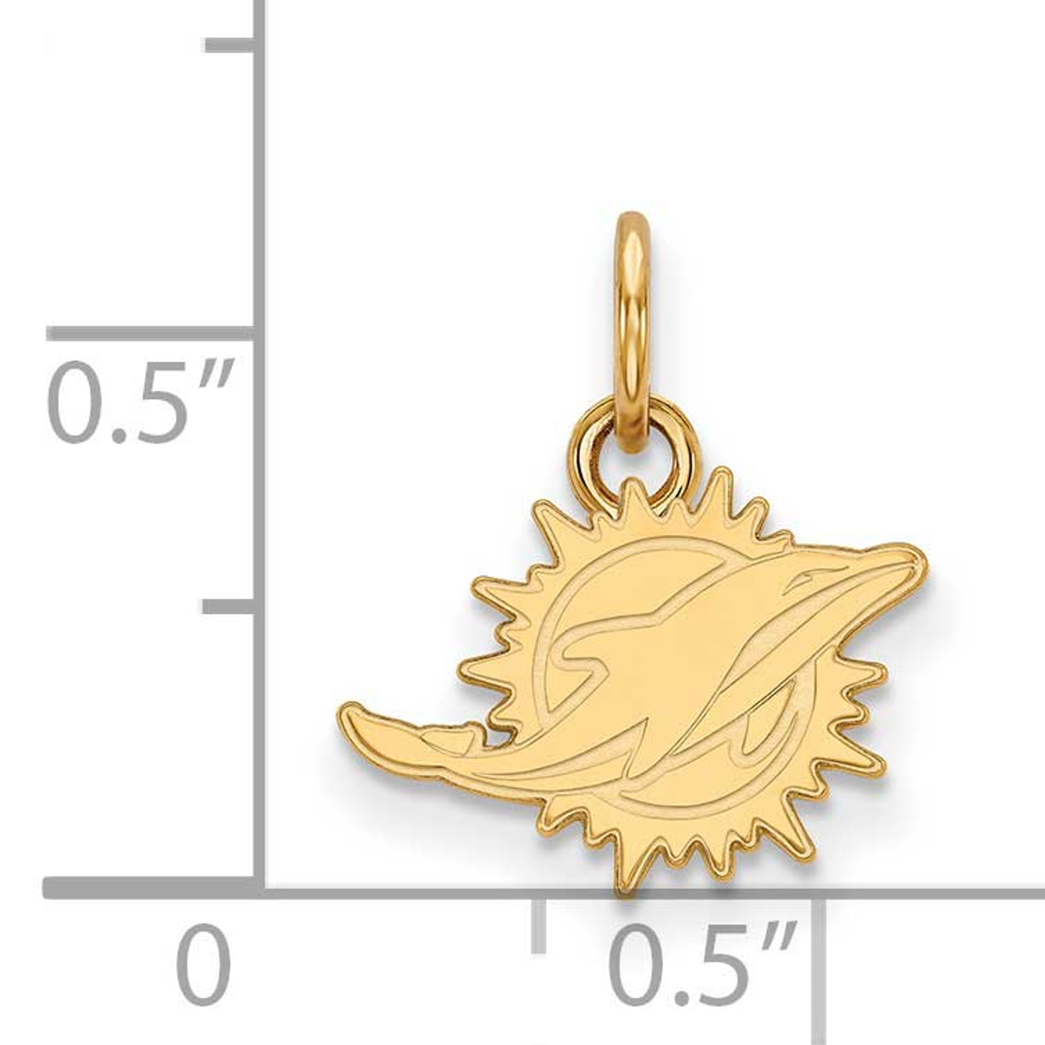 miami dolphins gold charm