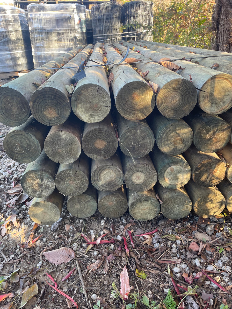 Southern Yellow Pine Treated Cylinder Post - 5" x 12' Southern Yellow Pine Treated Cylinder Post - 5" x 12'