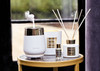High quality rattan reeds