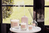 Modern Classics - Pink Peony & Gardenia - Scented Candle - Boxed Tumbler