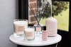 Modern Classics - Pink Peony & Gardenia - Scented Candle - Boxed Tumbler