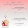 Nature's Gift - Apple & Pear Blossom - Scented Reed Diffuser 180ml