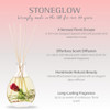 Nature's Gift - Red Rose - Scented Reed Diffuser 180ml