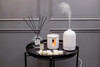 Modern Classics - Pomegranate & Spiced Woods - Scented Reed Diffuser 120ml