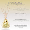 Nature's Gift - Beach Daisy - Scented Reed Diffuser (180ml)