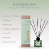 Elements - Earth - Green Apple & Lime - Scented Reed Diffuser (100ml)