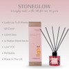 Elements - Light - Blush Rose & Peony -  Scented Reed Diffuser 100ml